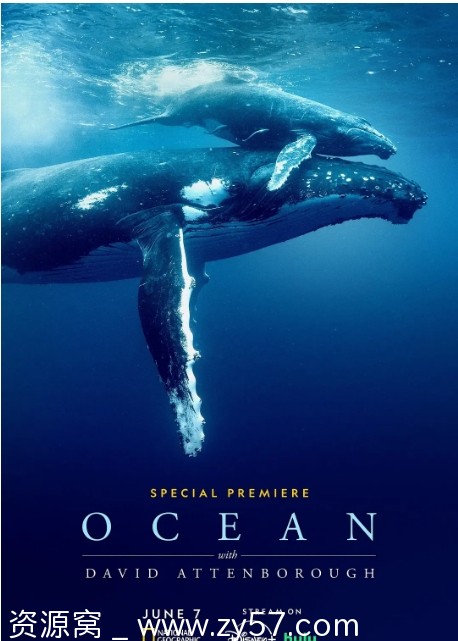 大卫爱登堡海洋海报占位图