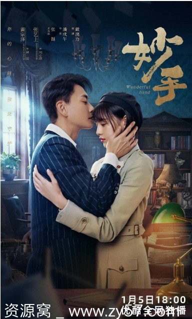 妙手电视剧海报