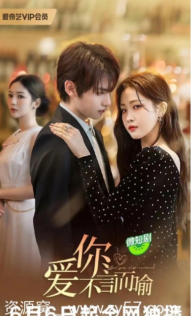 爱你不言而喻海报