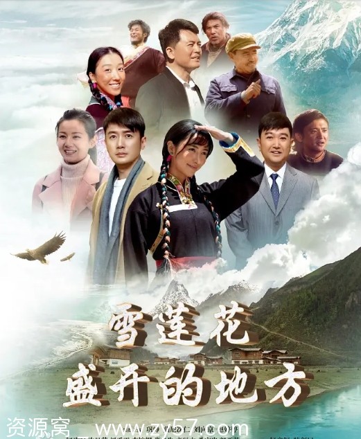 国内热门电视剧历史剧《雪莲花盛开的地方》2023完整版在线观看 - 零零盘