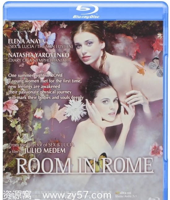 罗马的房子海报