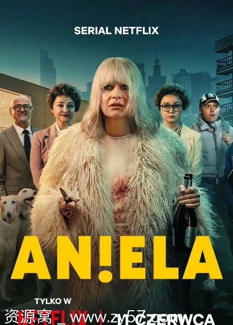 波兰热门连续剧《富太太的贫烦生活》2025剧情解析分享 - 零零盘