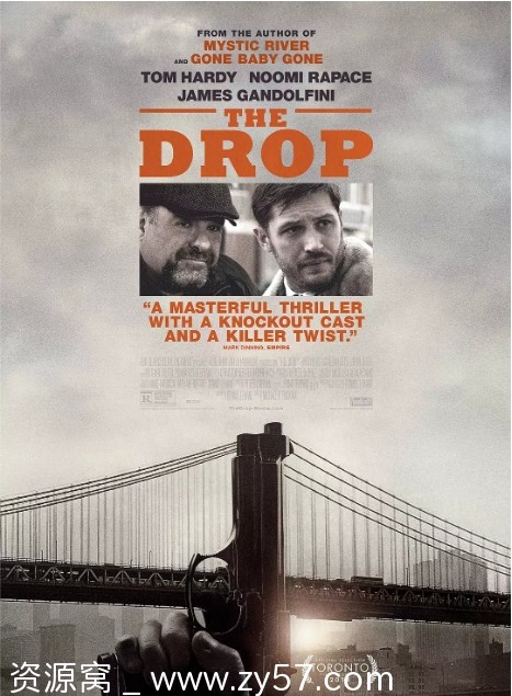 美国电影《危险藏匿》（2014）剧情解析 犯罪类型豆瓣评分6.5 - 零零盘