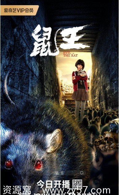 国内电影《鼠王》2025动作惊悚灾难高清资源分享 - 零零盘