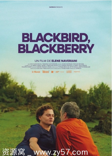 瑞士电影《黑鸟黑鸟黑莓》2023剧情解析 豆瓣评分7.6 - 零零盘