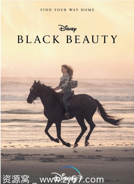 电影《黑神驹》海报