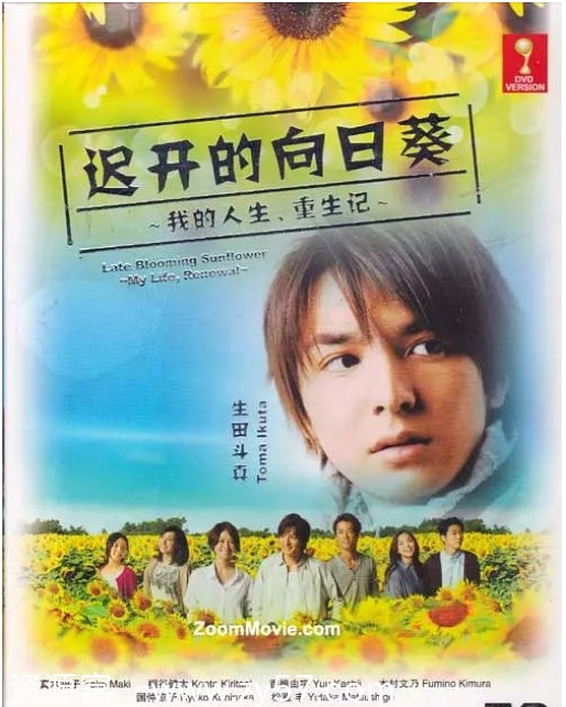 日剧推荐迟开的向日葵2012剧情解说 豆瓣评分8.5 - 零零盘