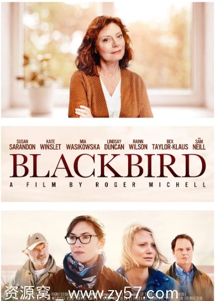 电影《黑鸟》海报