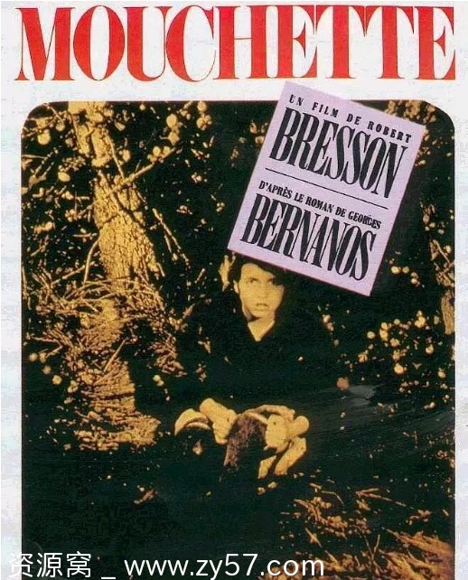 法国电影《穆谢特》1967年剧情解析 豆瓣评分8.4 - 零零盘
