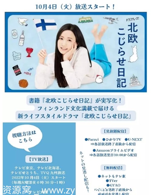 北欧别扭日记海报