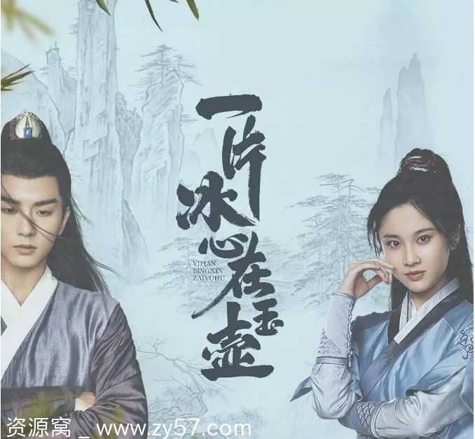 一片冰心在玉壶海报