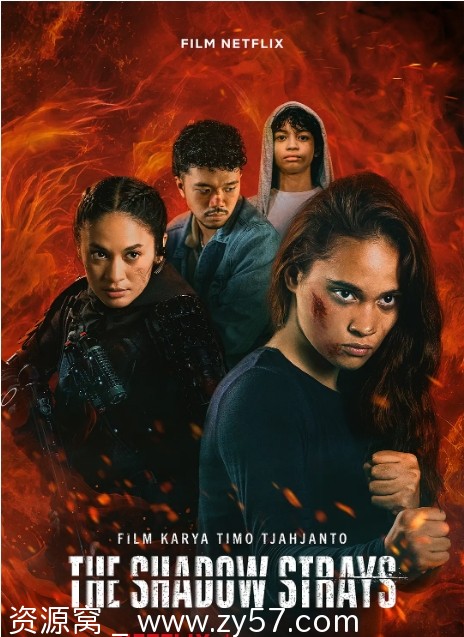 叛影浪客电影海报