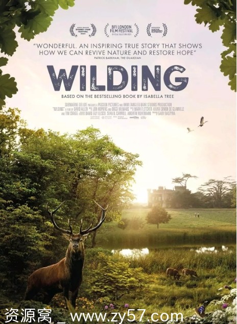 野趣 Wilding 电影海报