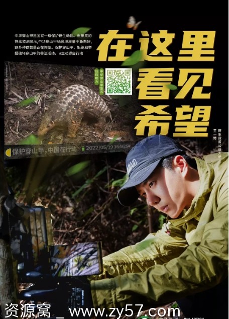 寻护者纪录片海报