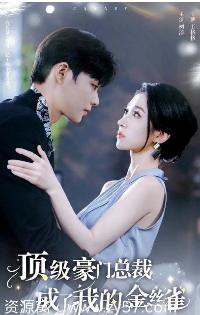 2024热门国内短剧剧情/短片《顶级豪门总裁成了我的金丝雀》高清在线观看 - 零零盘