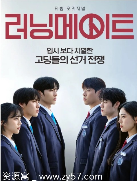 韩剧竞选伙伴2025剧情解析/轻松喜剧推荐 - 零零盘