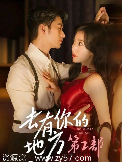 国内热门爱情短剧《去有你的地方》1-2季完整版2024更新 - 零零盘