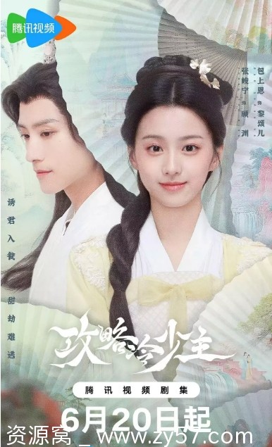 攻略冷少主海报