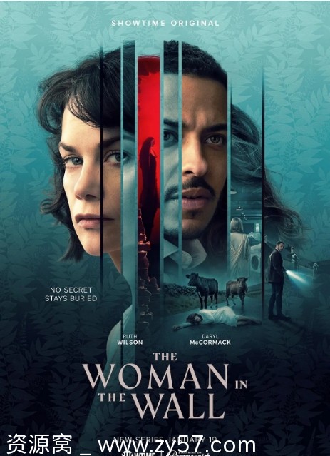 《墙里的女人》海报