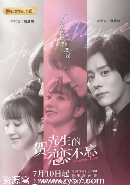 贺先生的恋恋不忘海报