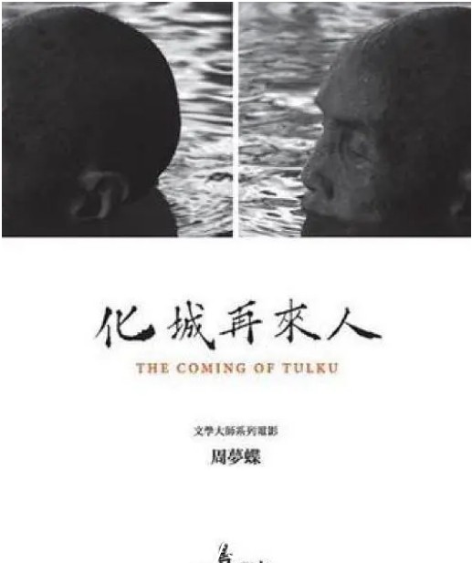 台湾纪录片《他们在岛屿写作：化城再来人》（2011）豆瓣评分9.1高清资源分享 - 零零盘