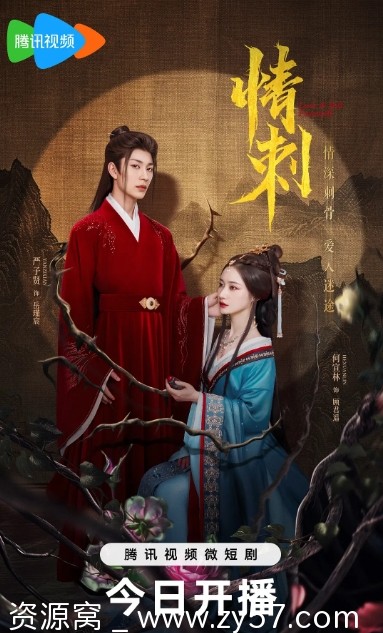 电视剧《情刺》海报