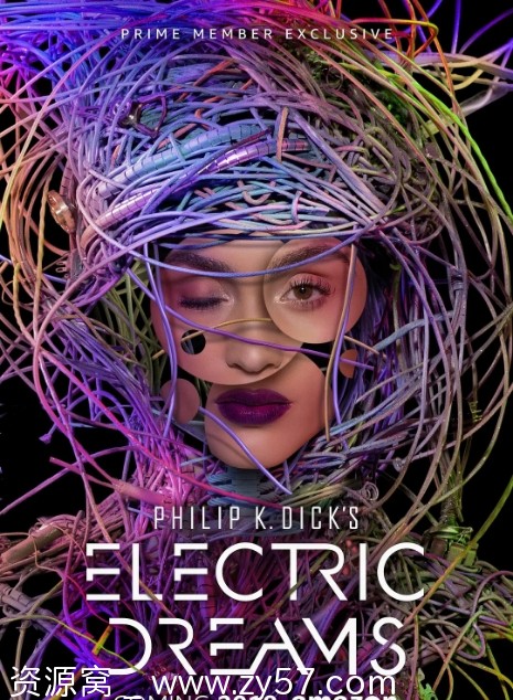 菲利普迪克的电子梦海报