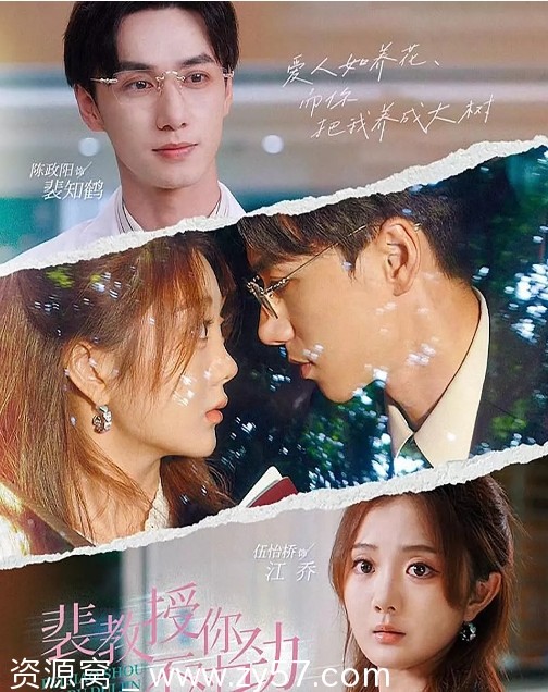 国内剧情短剧推荐  /  裴教授你不对劲2024完整版 - 零零盘