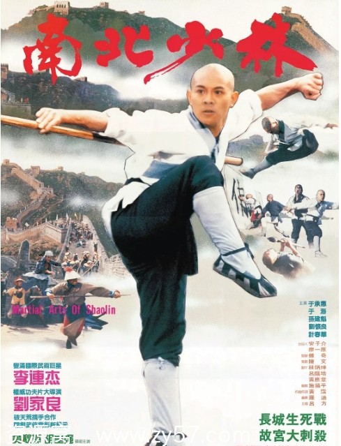 南北少林电影海报