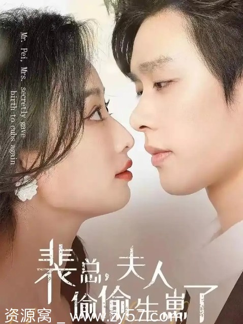 国内短剧推荐剧情/爱情/短片《裴总，夫人偷偷生崽了》2024版 - 零零盘