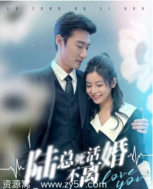 陆总死活不离婚剧照