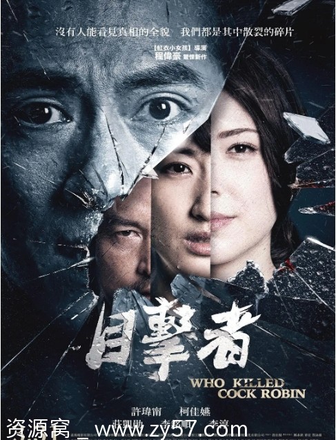 目击者之追凶电影海报