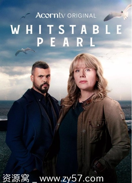 惠镇珀尔侦探社第三季海报