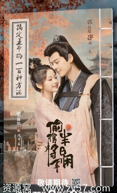 偷得将军半日闲 海报