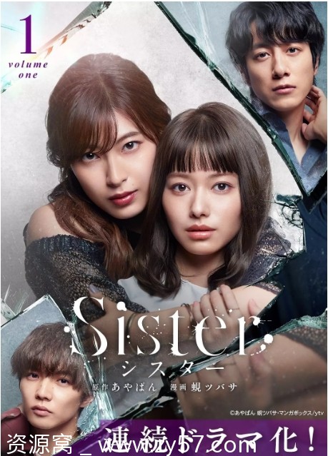 姐妹电视剧海报