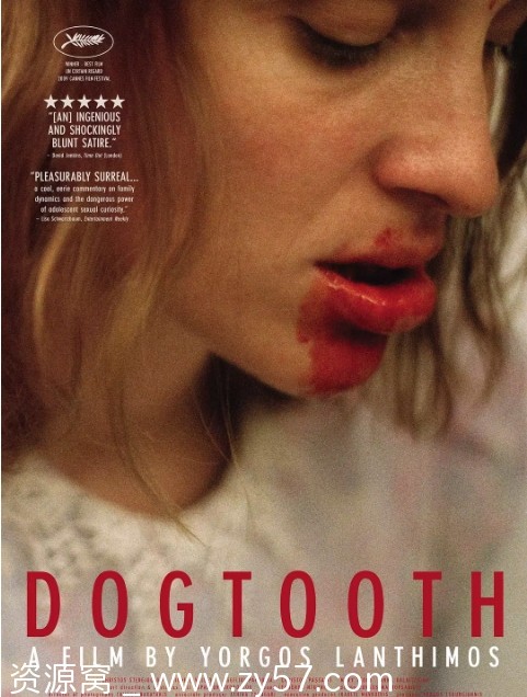 电影《狗牙》海报