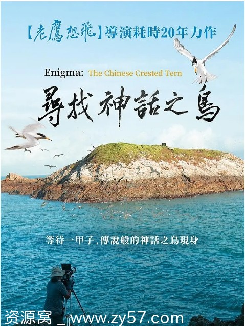 国内纪录片《寻找神话之鸟》2021高清完整版 - 零零盘
