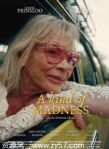 某种疯狂 A Kind of Madness 电影海报