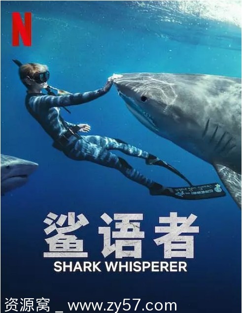 免费观看美国纪录片《鲨语者》（2025）高清完整版在线资源分享 - 零零盘