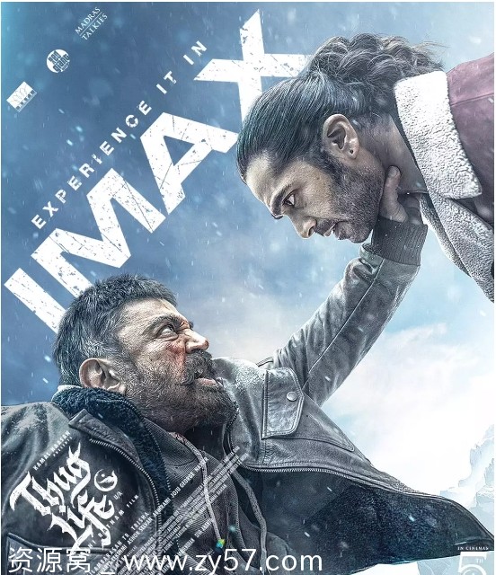 印度动作惊悚犯罪电影《镇上的新暴徒》2025高清资源分享 - 零零盘