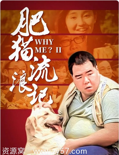 香港电影《肥猫流浪记》（1988）剧情介绍 豆瓣评分7.5 - 零零盘