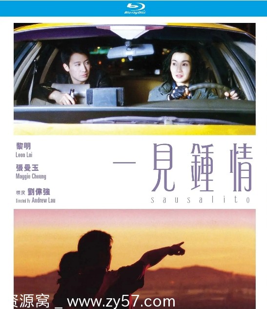 《一见钟情》电影海报