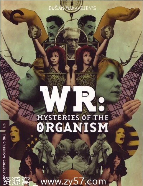 有机体的秘密电影海报