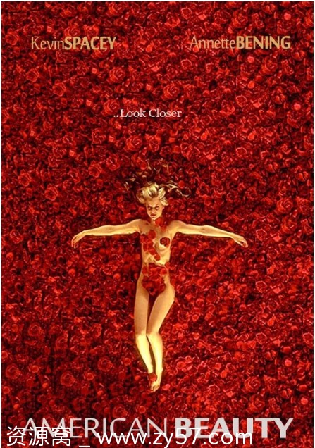 美国丽人电影海报