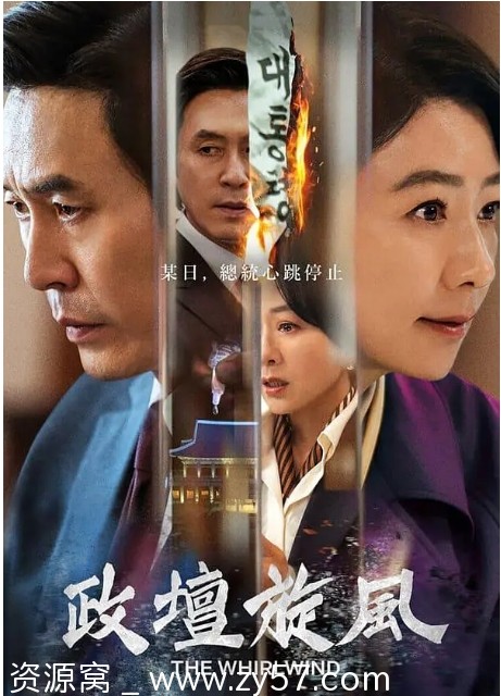 韩剧政坛旋风2024资源分享豆瓣评分7.8 - 零零盘