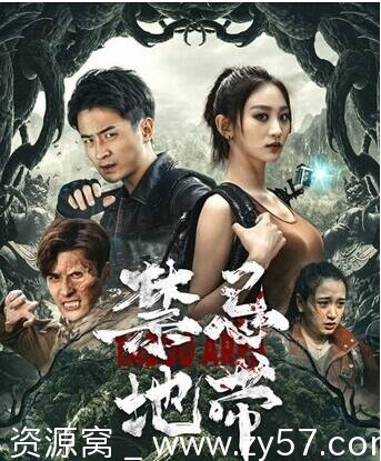 电影《禁忌地带》海报