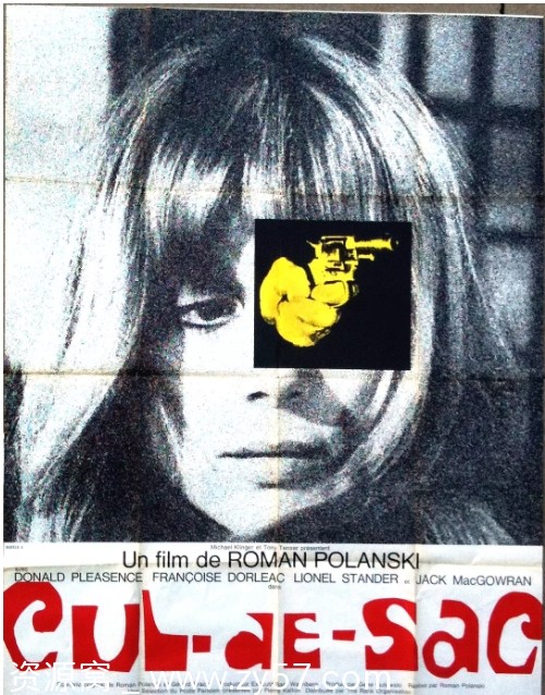 荒岛惊魂电影海报