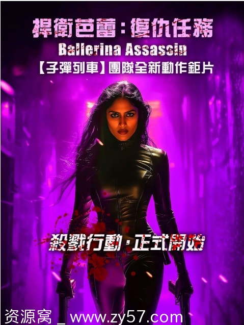 芭蕾女刺客电影海报