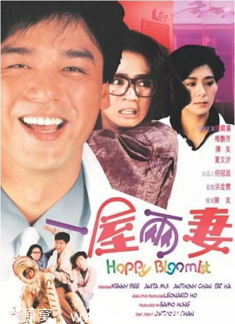 一屋两妻电影海报