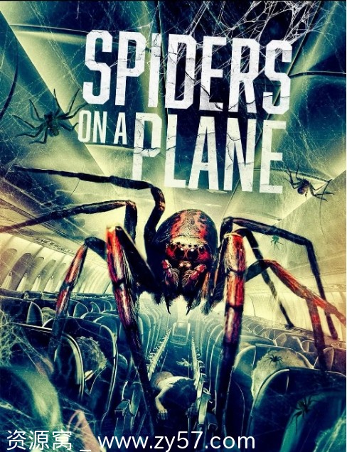 《航班蛛患》电影海报